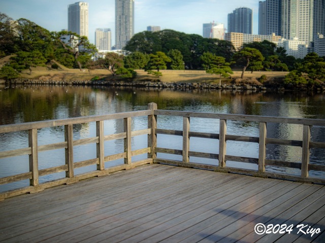 OC160891-ORF_DxO_DeepPRIMEXD_CameraRAW2_signed.jpg