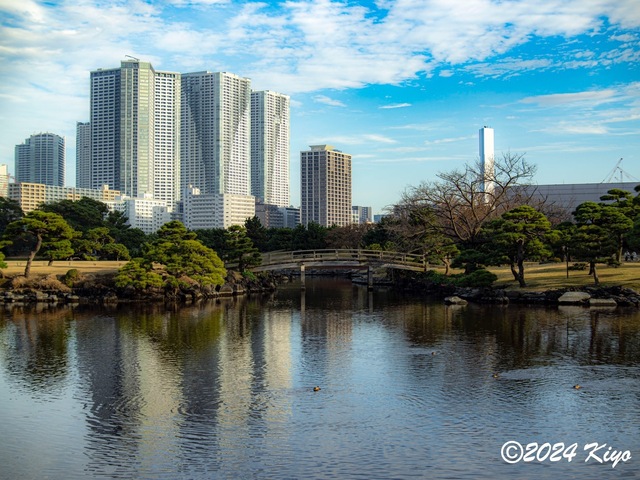 OC160894-ORF_DxO_DeepPRIMEXD_CameraRAW2_signed.jpg