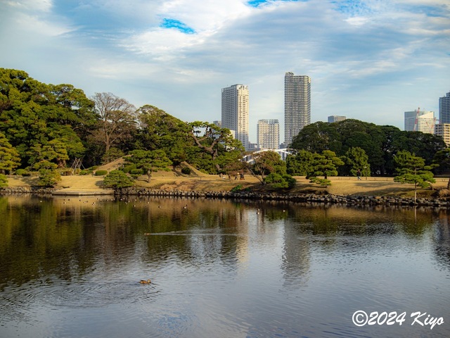 OC160895-ORF_DxO_DeepPRIMEXD_CameraRAW2_signed.jpg