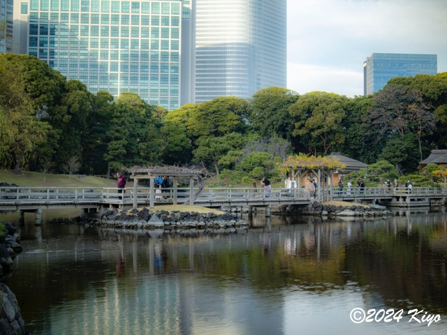 OC160898-ORF_DxO_DeepPRIMEXD_CameraRAW2_signed.jpg