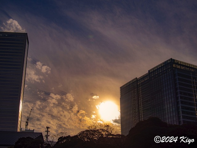 OC160900-ORF_DxO_DeepPRIMEXD_CameraRAW2_signed.jpg