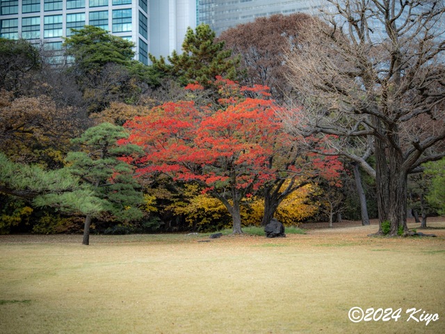 OC160920-ORF_DxO_DeepPRIMEXD_CameraRAW2_signed.jpg