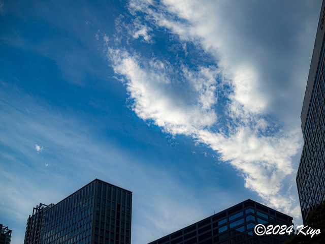 OC160925-ORF_DxO_DeepPRIMEXD_CameraRAW2_signed.jpg