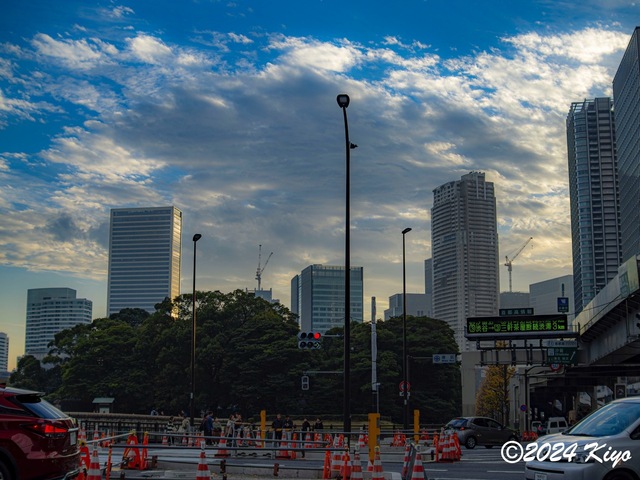 OC160930-ORF_DxO_DeepPRIMEXD_CameraRAW2_signed.jpg