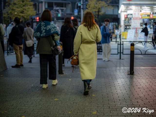 OC160936-ORF_DxO_DeepPRIMEXD_CameraRAW2_signed.jpg