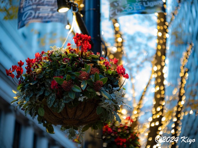 OC160941-ORF_DxO_DeepPRIMEXD_CameraRAW2_signed.jpg