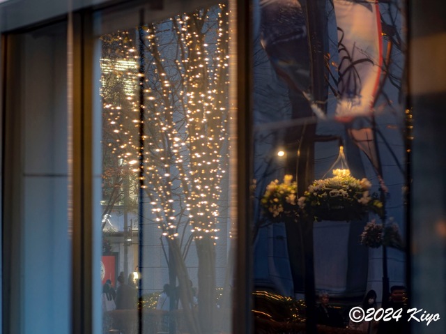OC160943-ORF_DxO_DeepPRIMEXD_CameraRAW2_signed.jpg