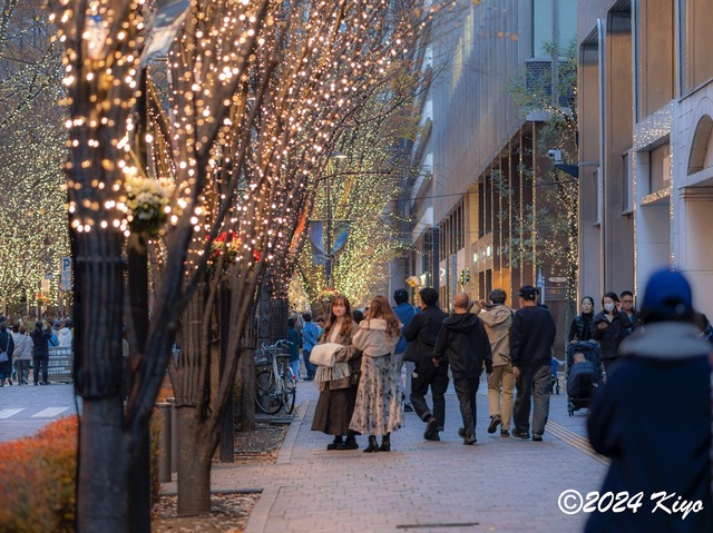 OC160944-ORF_DxO_DeepPRIMEXD_CameraRAW2_signed.jpg
