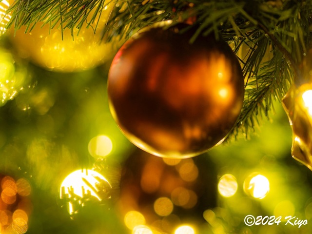 OC161014-ORF_DxO_DeepPRIMEXD_CameraRAW2_signed.jpg