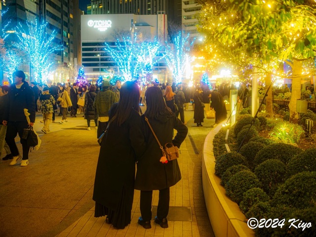 OC231037-ORF_DxO_DeepPRIMEXD_CameraRAW2_signed.jpg
