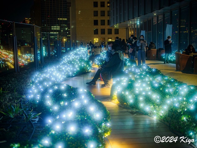 OC231104-ORF_DxO_DeepPRIMEXD_CameraRAW2_signed.jpg