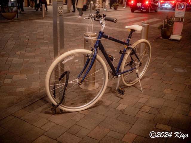 OC231168-ORF_DxO_DeepPRIMEXD_CameraRAW2_signed.jpg