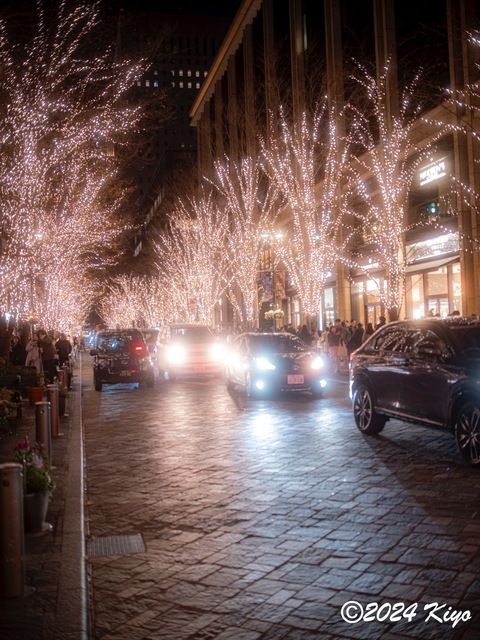 OC231170-ORF_DxO_DeepPRIMEXD_CameraRAW2_signed.jpg