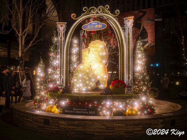 OC231173-ORF_DxO_DeepPRIMEXD_CameraRAW2_signed.jpg