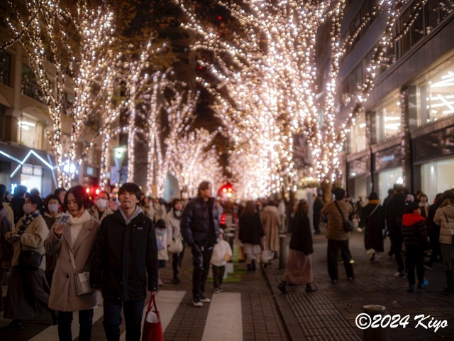 OC231201-ORF_DxO_DeepPRIMEXD_CameraRAW2_signed.jpg