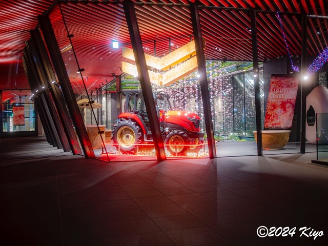 OC231252-ORF_DxO_DeepPRIMEXD_CameraRAW2_signed.jpg