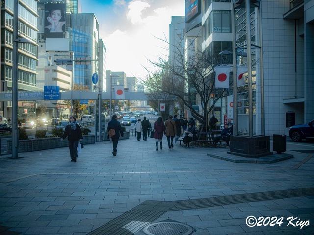OC241280-ORF_DxO_DeepPRIMEXD_CameraRAW2_signed.jpg