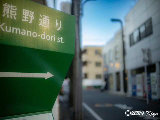 OC241285-ORF_DxO_DeepPRIMEXD_CameraRAW2_signed.jpg