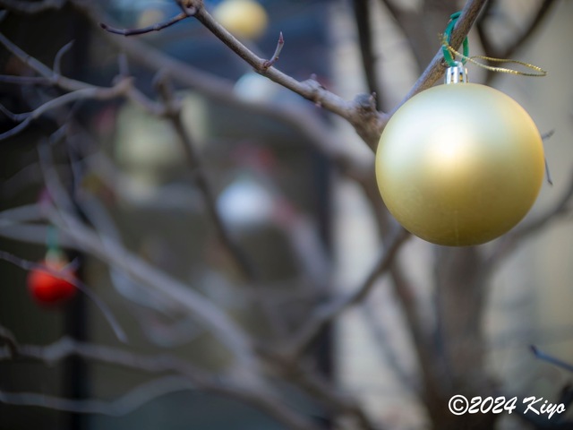 OC241288-ORF_DxO_DeepPRIMEXD_CameraRAW2_signed.jpg