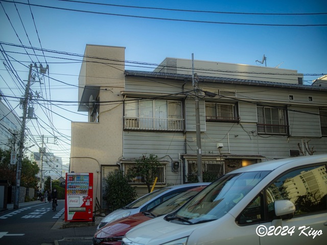 OC241291-ORF_DxO_DeepPRIMEXD_CameraRAW2_signed.jpg