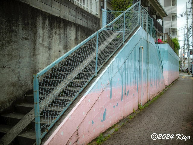P5281818-ORF_DxO_DeepPRIMEXD_CameraRAW2_signed.jpg