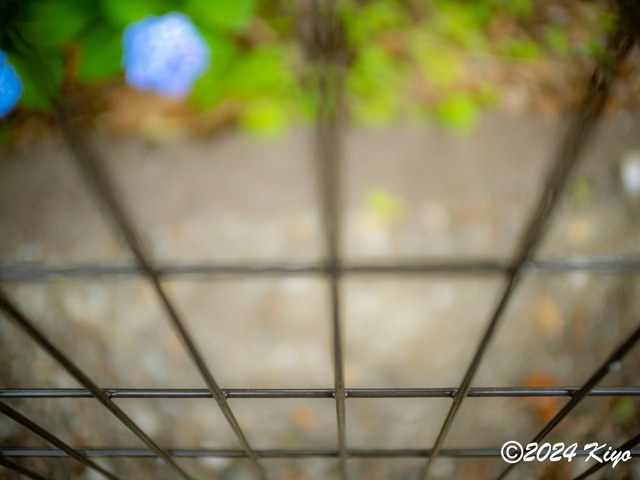 P5281843-ORF_DxO_DeepPRIMEXD_CameraRAW2_signed.jpg