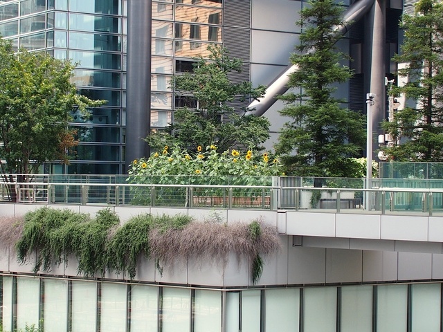 38172881_1280x960_補正済.jpg