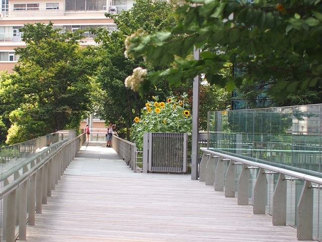 38172882_1280x960_補正済.jpg
