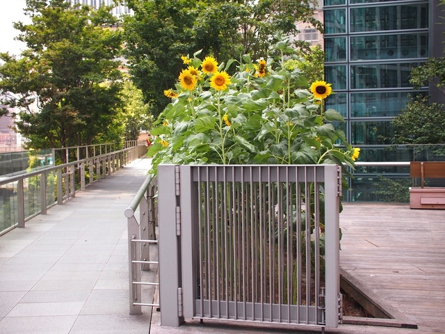 38172883_1280x960_補正済.jpg