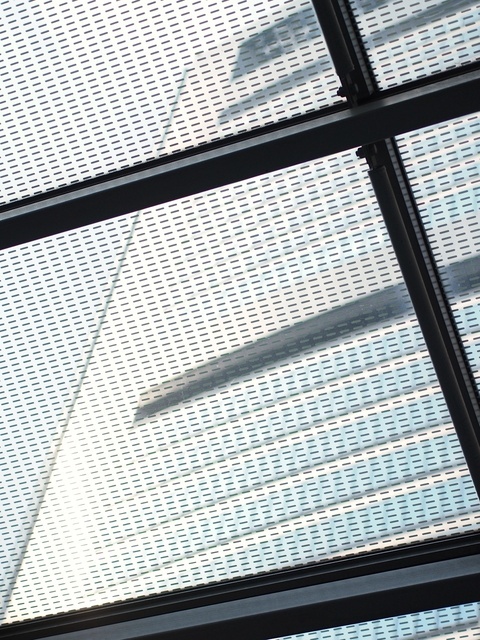 39285316_1280x960_補正済.jpg