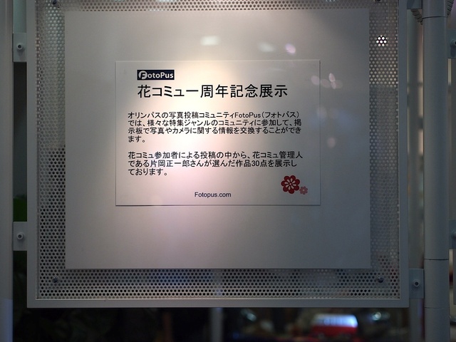 3A225799_1280x960_補正済.jpg
