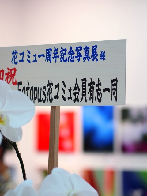 3A225833_1280x960_補正済.jpg