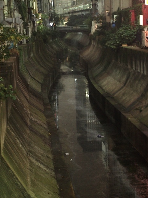 3B066833_1280x853_補正済.jpg