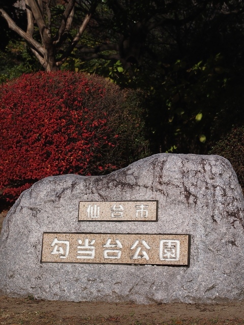 3C179476_1280x960_補正済.jpg