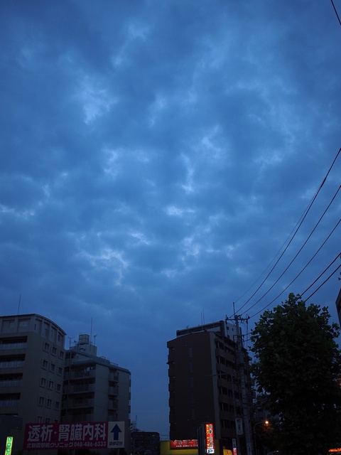 56300496_2048x1536_補正済.jpg