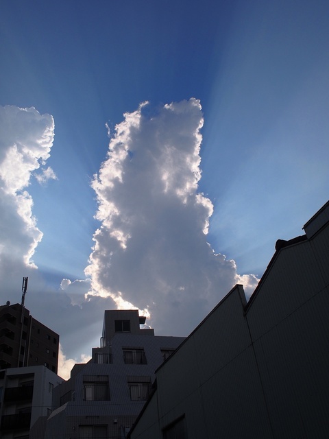 57272858_2048x1536_補正済.jpg