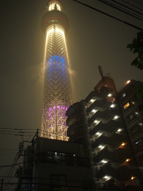 57272930_2048x1536_補正済.jpg