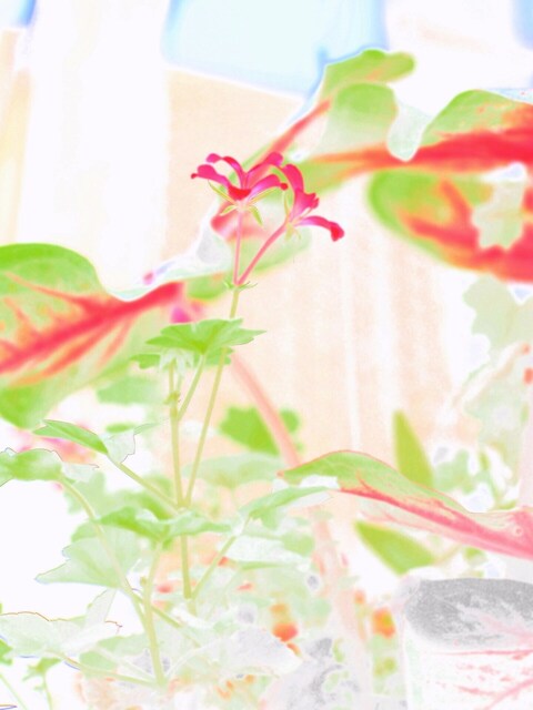 58104142_2048x1536_補正済.jpg