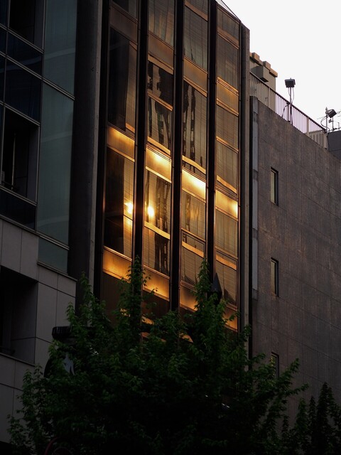 58104167_2048x1536_補正済.jpg