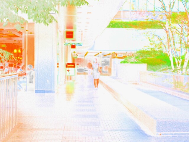 58174356_2048x1536_補正済.jpg
