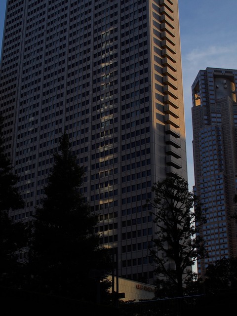 58174400_2048x1536_補正済.jpg