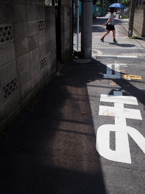 58184598_2048x1536_補正済.jpg