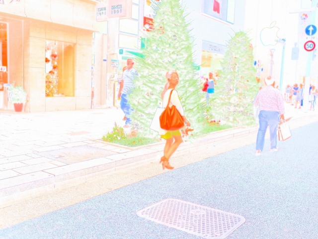 58254956_2048x1536_補正済.jpg