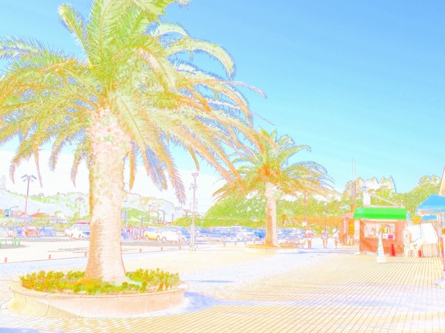 58315056_2048x1536_補正済.jpg