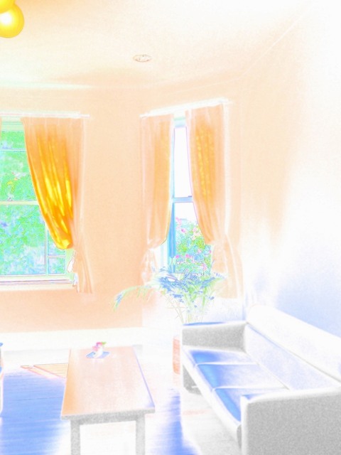59075391_2048x1536_補正済.jpg
