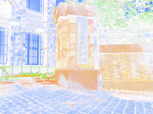59075449_2048x1536_補正済.jpg