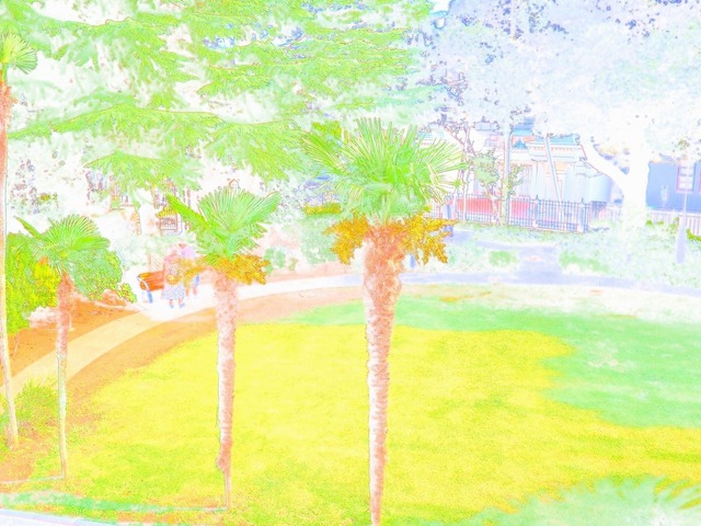 59075484_2048x1536_補正済.jpg