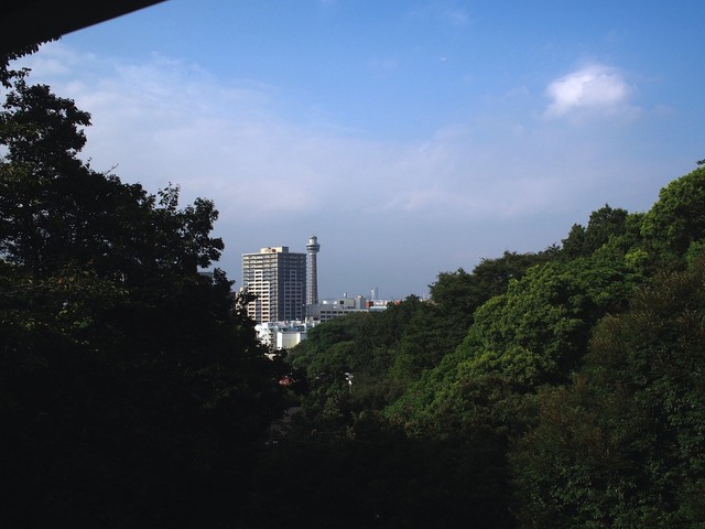 59075512_2048x1536_補正済.jpg
