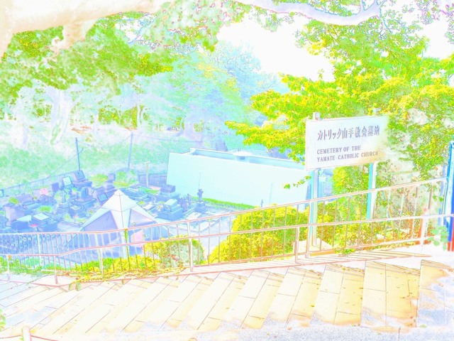 59075526_2048x1536_補正済.jpg