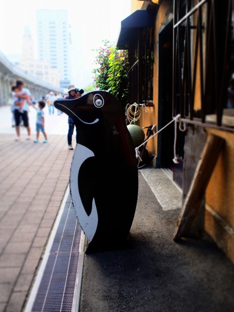 59075586_2048x1536_補正済.jpg
